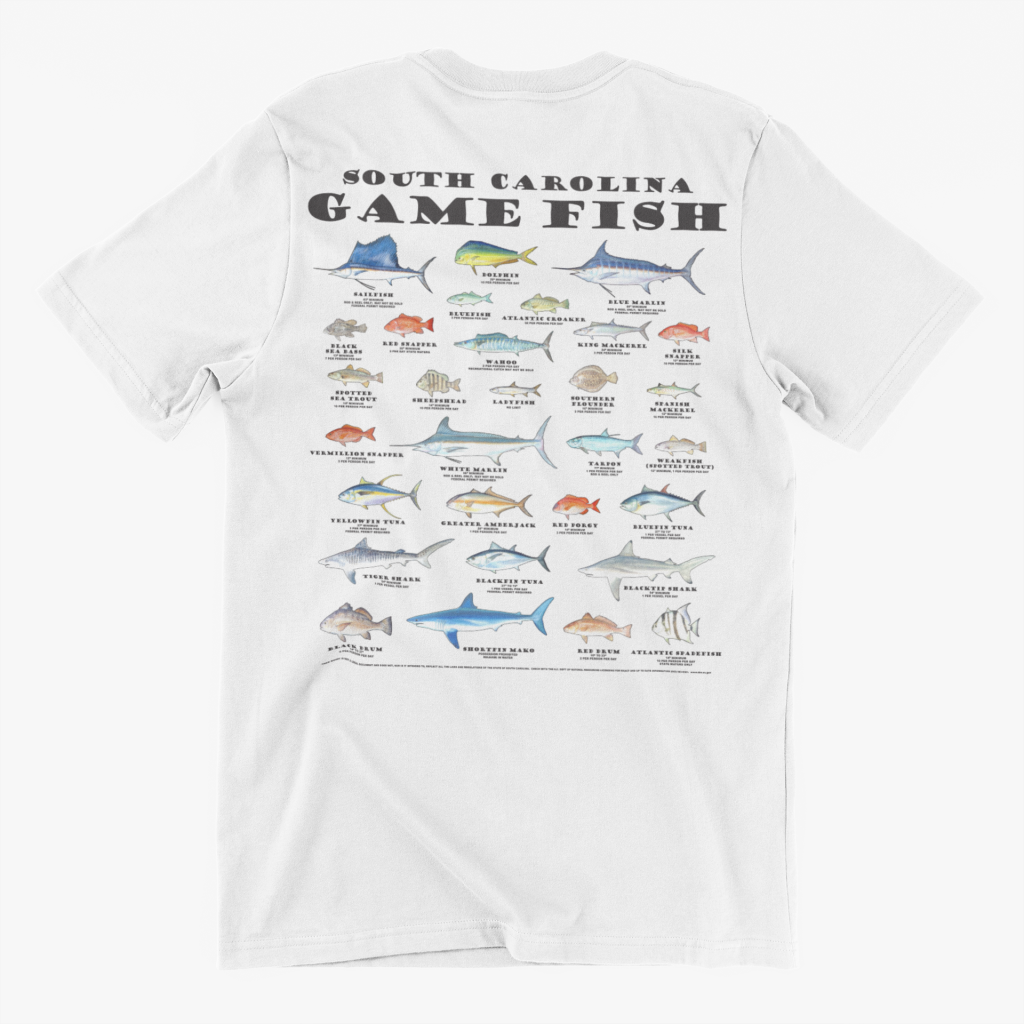 Mick Fanning Softboards MF Evenflow Epoxy Pro Softboard – Sanbah Australia, image size:1024x1024