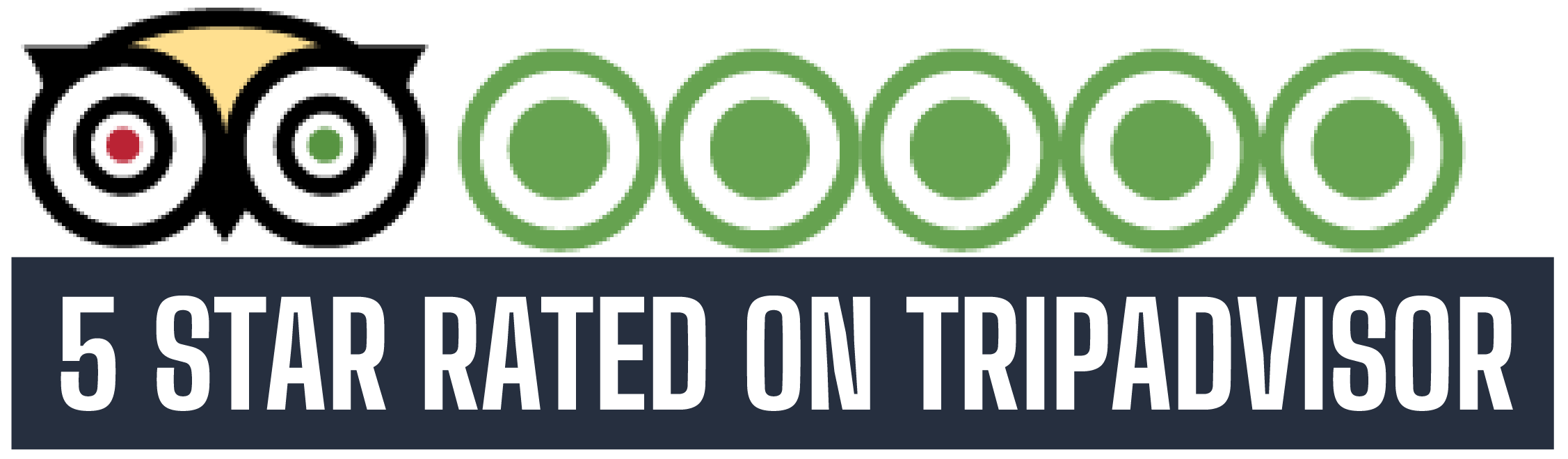 Osprey Boat Charters 5 star rating on TripAdvisor Charleston SC