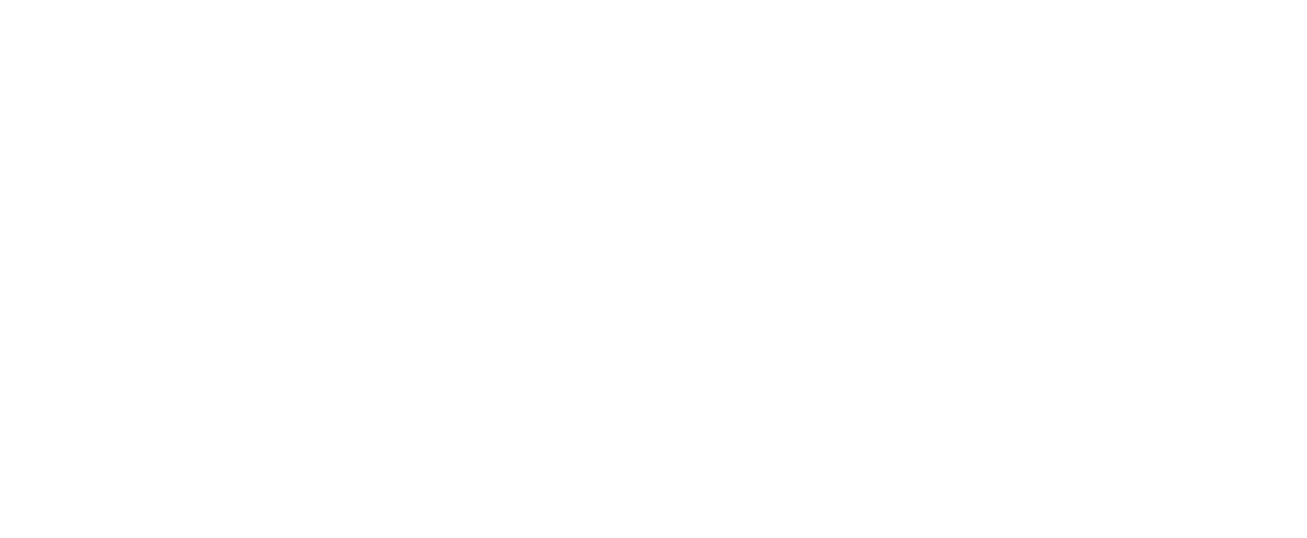 Osprey Boat Charters Charleston South Carolina harbor tours and private charters logo